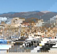 Private Mt Wellington Richmond Bonorong Wildlife Sanctuary Tour from Hobart - Tourism Caloundra