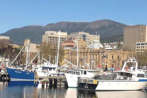 Private Mt Wellington, Richmond, Bonorong Wildlife Sanctuary Tour From Hobart - Tourism Caloundra 0
