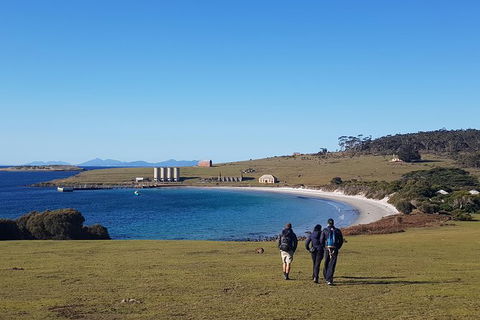 6-Day Best Of Tasmania Hiking Tour From Hobart - Tourism Caloundra 1