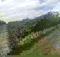 Coal River Valley  Hobart food  wine grazing tour - Tourism Caloundra