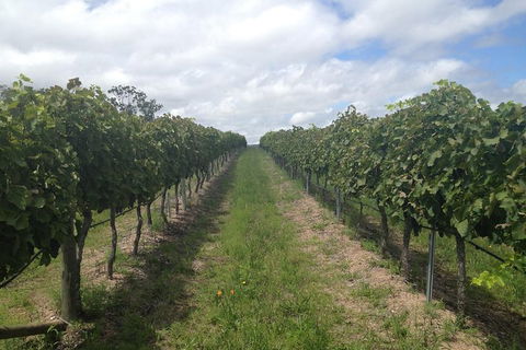 Coal River Valley & Hobart Food & Wine Grazing Tour - Tourism Caloundra 0