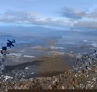 Mt Wellington ONE WAY WALKERS Tour great option for bushwalkers - Tourism Caloundra