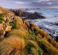 4-Day Tarkine Wilderness Photography Workshop - Tourism Caloundra