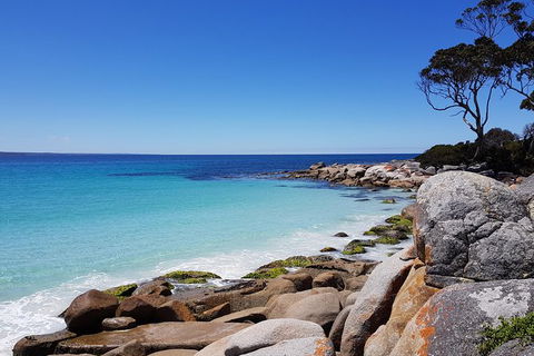 Tasmania 4 Day East Coast + Launceston - Tourism Caloundra 0