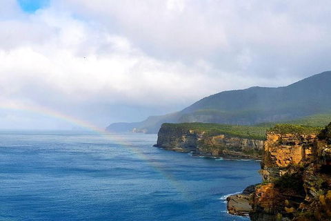 Tasmania 4 Day East Coast + Launceston - Tourism Caloundra 7