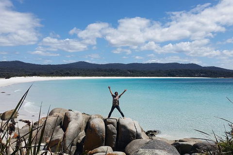 Tasmania 4 Day East Coast + Launceston - Tourism Caloundra 5