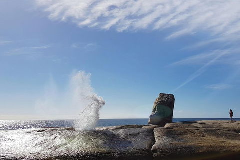 Tasmania 4 Day East Coast + Launceston - Tourism Caloundra 11