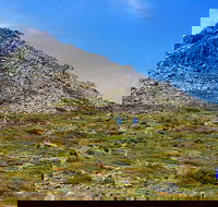 3-Day Hobart Adventure Tour Mount Field Cape Hauy and Hartz Peak - Tourism Caloundra