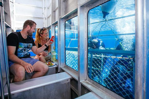 White Shark Tour With Optional Cage Dive From Port Lincoln - Tourism Caloundra 4