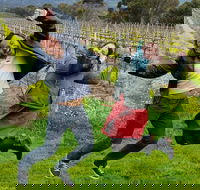 Mclaren Vale Luxury Full Day Small Group Wine Tour - Tourism Caloundra