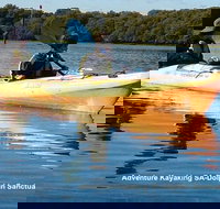 Adelaide Dolphin Sanctuary and Ships Graveyard Kayak Tour - Tourism Caloundra