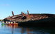 Adelaide Dolphin Sanctuary And Ships Graveyard Kayak Tour - thumb 1