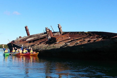 Adelaide Dolphin Sanctuary And Ships Graveyard Kayak Tour - Tourism Caloundra 1