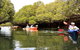 Adelaide Dolphin Sanctuary And Ships Graveyard Kayak Tour - thumb 8