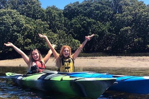 Adelaide Dolphin Sanctuary And Ships Graveyard Kayak Tour - Tourism Caloundra 4