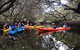 Adelaide Dolphin Sanctuary And Ships Graveyard Kayak Tour - thumb 10