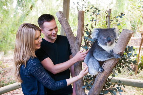 Adelaide Central Market With Cleland Wildlife Park And Mount Lofty Summit - Tourism Caloundra 1