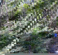 Self-Guided Waterfall Gully to Mount Lofty Hike from Adelaide - Tourism Caloundra