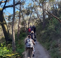 Mount Lofty Hike and Cleland Wildlife Park Day Trip from Adelaide - Tourism Caloundra