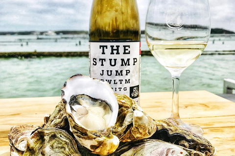 Coffin Bay Oyster Farm & Tasting Tour - Tourism Caloundra 10