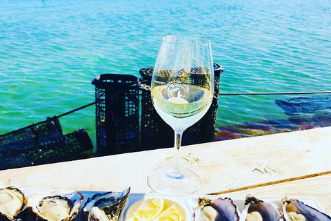 Coffin Bay Oyster Farm & Tasting Tour - Tourism Caloundra 11