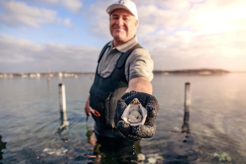 Coffin Bay Oyster Farm & Tasting Tour - Tourism Caloundra 3