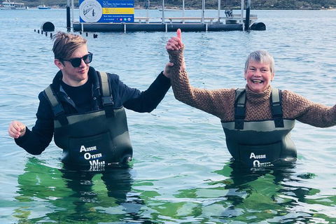 Coffin Bay Oyster Farm & Tasting Tour - Tourism Caloundra 12