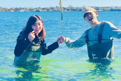 Coffin Bay Oyster Farm & Tasting Tour - Tourism Caloundra 4