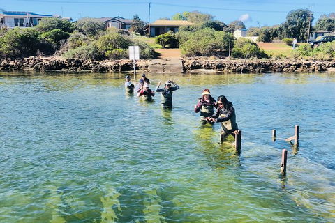 Coffin Bay Oyster Farm & Tasting Tour - Tourism Caloundra 6