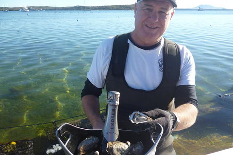Coffin Bay Oyster Farm & Tasting Tour - Tourism Caloundra 2