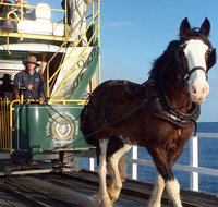 Full-Day Tour in South Australia Highlights - Tourism Caloundra