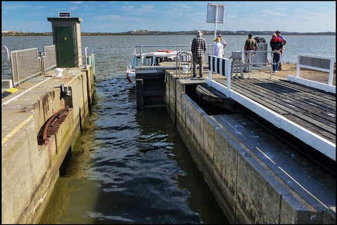 Coorong National Park Wildlife Cruise From Goolwa - Tourism Caloundra 4