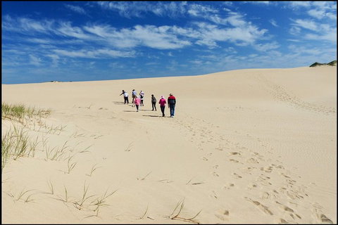 Coorong National Park Wildlife Cruise From Goolwa - Tourism Caloundra 3