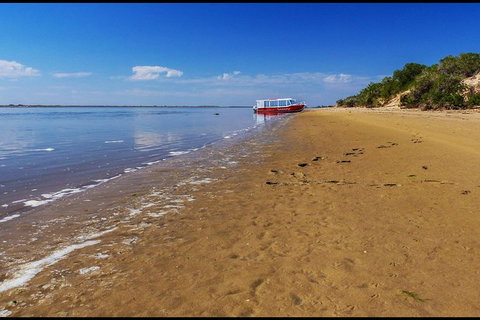 Coorong National Park Wildlife Cruise From Goolwa - Tourism Caloundra 6