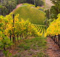 Private Adelaide Hills Wine Region Tour - Tourism Caloundra