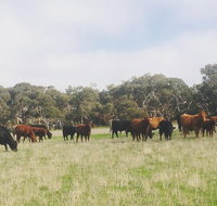 Waitpinga Farm Quad-Bike Tour - Tourism Caloundra