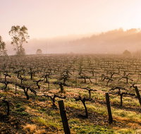 Barossa Valley Private Tour It's your tour the way you want it. - Tourism Caloundra