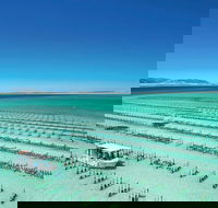 Coffin Bay Day Tour - A Taste of Coffin Bay - Tourism Caloundra