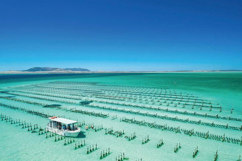 Coffin Bay Day Tour - A Taste Of Coffin Bay - Tourism Caloundra 0