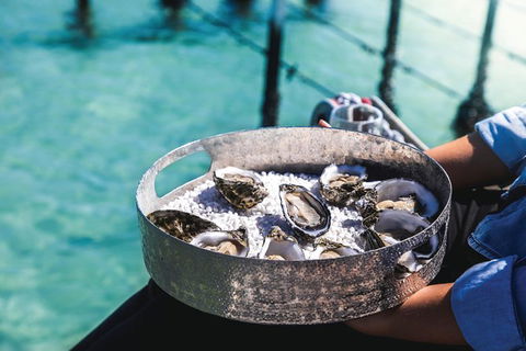 Coffin Bay Day Tour - A Taste Of Coffin Bay - Tourism Caloundra 8