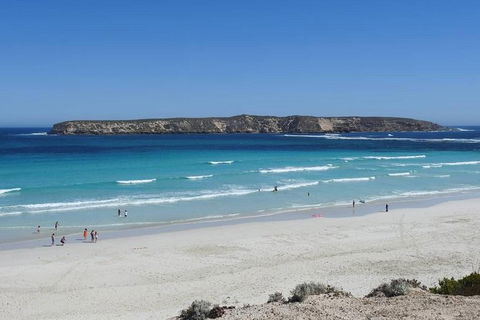 Coffin Bay Day Tour - A Taste Of Coffin Bay - Tourism Caloundra 12