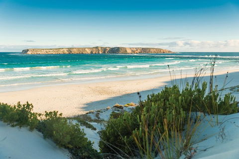 Coffin Bay Day Tour - A Taste Of Coffin Bay - Tourism Caloundra 13
