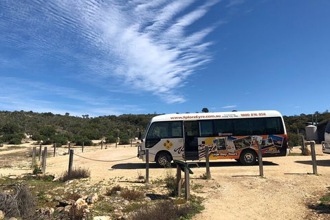 Coffin Bay Day Tour - A Taste Of Coffin Bay - Tourism Caloundra 4