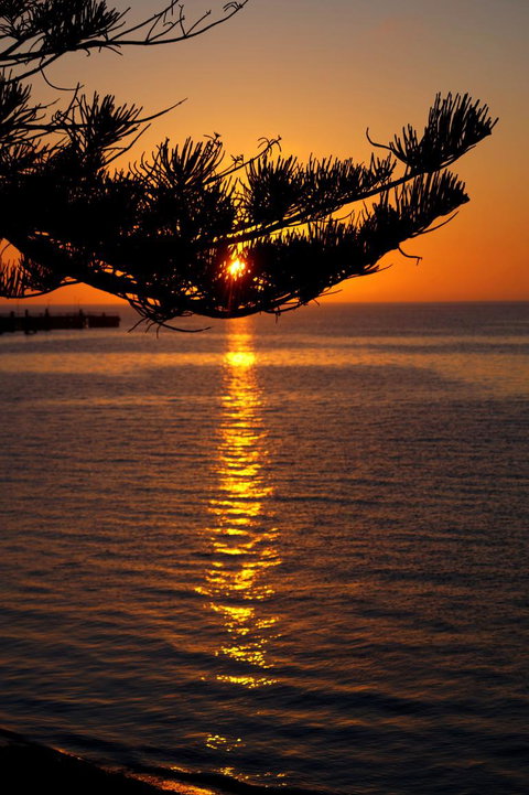 2-Day Kangaroo Island Tour From Adelaide - Tourism Caloundra 14