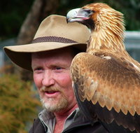 Kangaroo Island Wildlife Day Trip from Adelaide Including Seal Bay - Tourism Caloundra