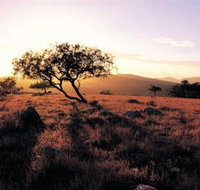 Adelaide To Coober Pedy 7 DAY SMALL GROUP 4WD SAFARI - Tourism Caloundra