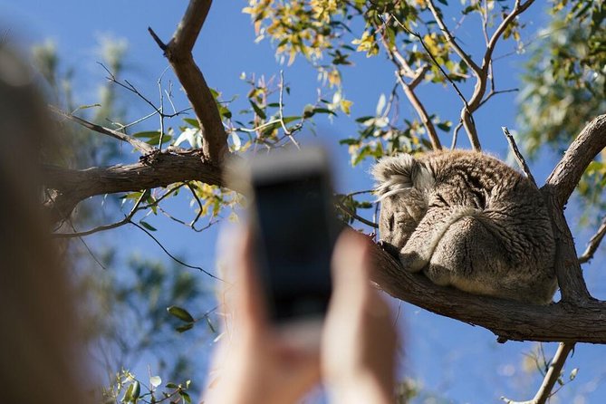 Port Lincoln SA Tourism Caloundra