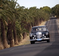 Private Barossa Valley Winery Tour by Classic 1962 Daimler from the Barossa Valley - Tourism Caloundra