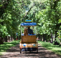 Adelaide 90-Minute Pedicab Tour Scenic Green  River Experience - Tourism Caloundra