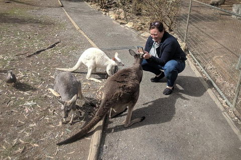 A Taste Of Adelaide And Hahndorf By Car Private Tour. - Tourism Caloundra 8